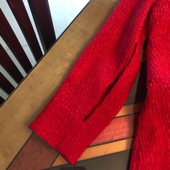 Scanlan Theodore Australian designer dress - Picture 7 of 8